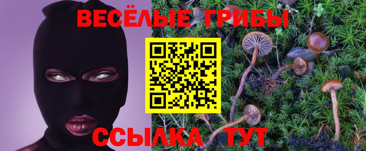 Псилоцибиновые грибы GOLDEN TEACHER  Вход с VPN  Кимовск 