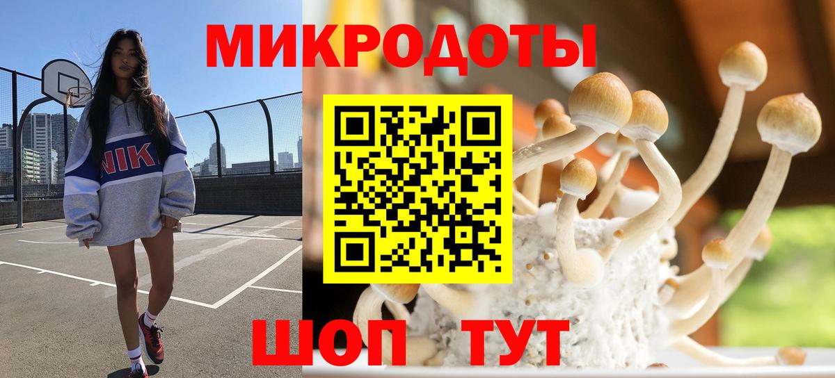 Галлюциногенные грибы Cubensis Кимовск